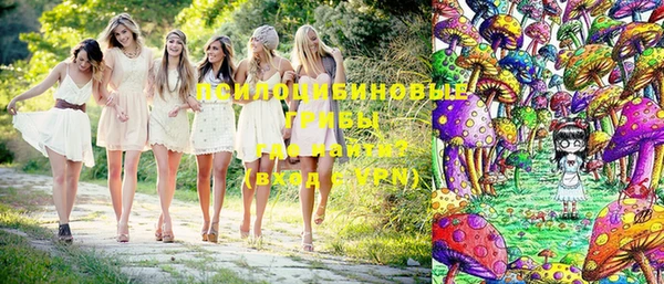 гашик Абинск