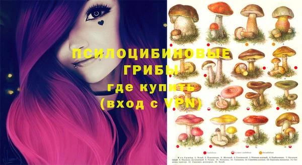 гидра Абдулино