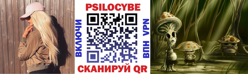 blacksprut зеркало  Тихорецк  Галлюциногенные грибы Psilocybine cubensis  купить наркотик 